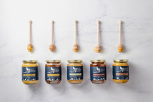 Load image into Gallery viewer, Buzzed Honey with Lion's Mane