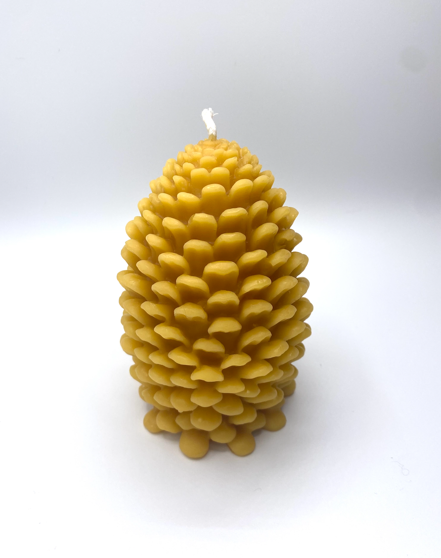 Pinecone Beeswax candle